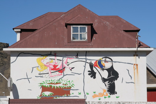 Puffin catching a girl - 2008