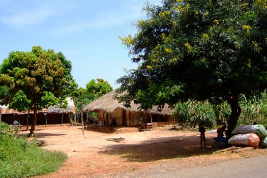 A village we stopped by at after leaving Senegal because our driver wanted to buy coal or rather peat from the locals. I think our car got more than 150 kg's extra weight on after this stop. So don't say that French cars only are made for farmers who want to bring some eggs to the local market!